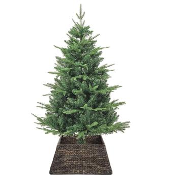 Weihnachtsbaumkragen Schwarz 70 x 70 x 28 cm Wasserhyazinthe