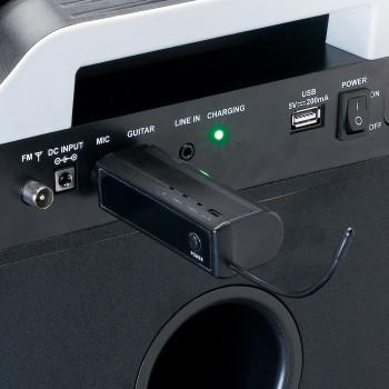 Drahtloses Mikrofon mit 6,3 mm batteriebetriebenem Empfänger