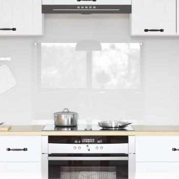 ARDEBO.de - Küchenrückwand Transparent 80 x 60 x 0.8 cm Gehärtetes Glas