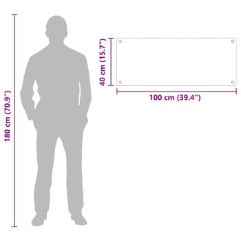 ARDEBO.de - Küchenrückwand Transparent 100 x 40 x 0,8 cm Gehärtetes Glas