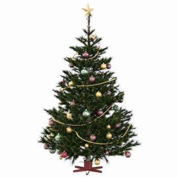 Weihnachtsbaumständer 1.73 Rot 49 x 49 x 15,5 cm Stahl