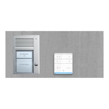 ARDEBO.de TCS PAUF011/001 audio:pack Unterputz für 1 Wohneinheit, mit Außenstation PUK 1 Klingeltaste + 1 x Freisprecher ISW5031 + Steuergerät BVS20
