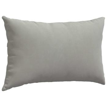 Sofa Kissen 2 pcs Hellgrau 50 x 30 cm