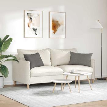 Sofakissen 2 pcs Hellgrau 60 x 40 cm Cordstoff