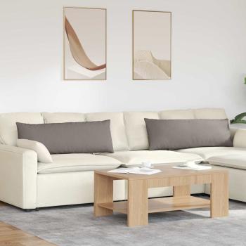 ARDEBO.de - Sofakissen 2 pcs Taupe 120 x 40 cm Stoff