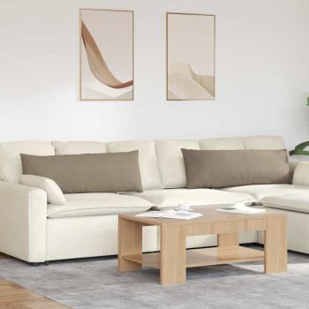 ARDEBO.de - Sofa Kissen 2 pcs Taupe 120 x 40 cm Stoff