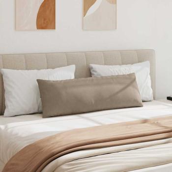 Sofa Kissen 2 pcs Taupe 120 x 40 cm Stoff