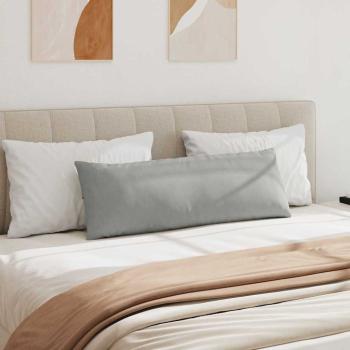 Sofa Kissen 2 pcs Hellgrau 120 x 40 cm Stoff