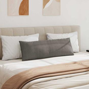 Sofakissen 2 pcs Hellgrau 120 x 40 cm Cordstoff