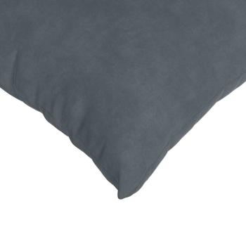 Sofakissen 2 pcs Dunkelgrau 60 x 40 cm Cordstoff
