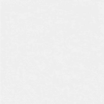 Frostschutz-Pflanzen-Vlies Weiß 20 x 3,2 m Vliesstoff