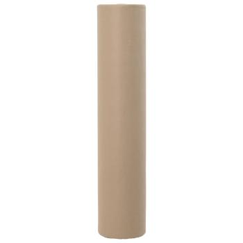 Frostschutz-Pflanzen-Vlies Beige 100 x 1,6 m Vliesstoff