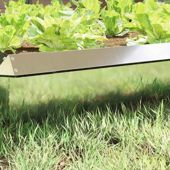 Schneckenzaun 16 pcs Silber 50 x 3,5 x 25 cm Verzinkter Stahl