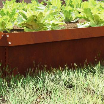 Schneckenzaun Rostig 100 x 3,5 x 25 cm Wetterfeststahl