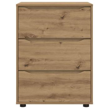 Aufbewahrungsschrank Artisan-Eiche 60 x 48 x 81 cm