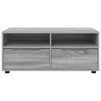 TV-Schränk Graues Sonoma 100 x 48 x 43 cm Holzwerkstoff