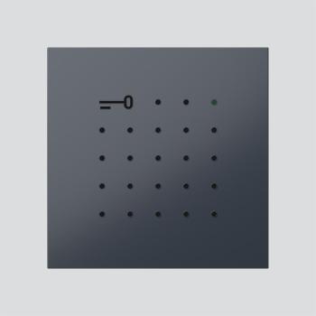 ARDEBO.de Siedle ELM 600-0 AG Electronic-Key-Lese-Modul, anthrazitgrau (210008426-00)