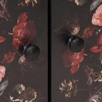 Stauraumschränke Mehrfarbig 60 x 33,5 x 75 cm Massivholz Mango