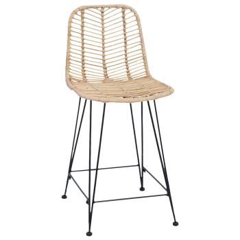 Barstuhl 2 pcs Natur 44,5 x 54,5 x 97,5 cm Rattan und Eisen