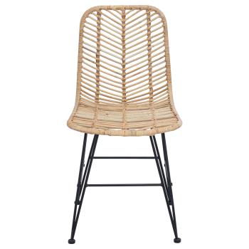 Esszimmerstuhl 2 pcs Natur 44,5 x 55 x 85 cm Rattan und Eisen