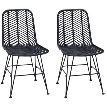 Esszimmerstuhl 2 pcs Schwarz 44,5 x 55 x 85 cm Rattan und Eisen