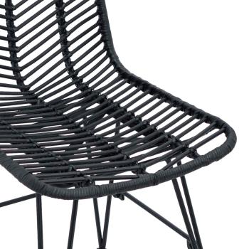 Esszimmerstuhl 2 pcs Schwarz 44,5 x 55 x 85 cm Rattan und Eisen
