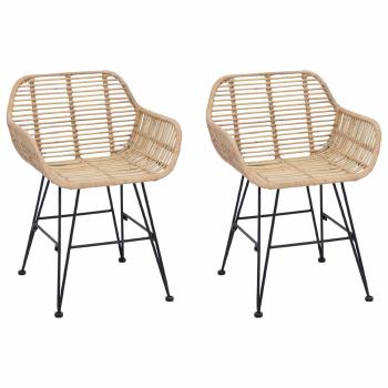 ARDEBO.de - Esszimmerstuhl 2 pcs Natur 55 x 50 x 74 cm Rattan und Eisen