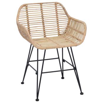 Esszimmerstuhl 2 Stk. Rattan und Eisen Natur 55 x 50 x 74 cm
