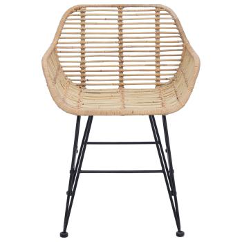 Esszimmerstuhl 2 Stk. Rattan und Eisen Natur 55 x 50 x 74 cm