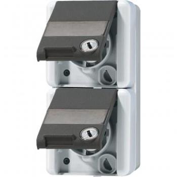 ARDEBO.de Jung 822NAWSL SCHUKO Zweifach-Steckdose, 16 A, 250 V ~