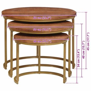 Nesting-Couchtische 3 pcs Honigbraun Massivholz Mango und Stahl