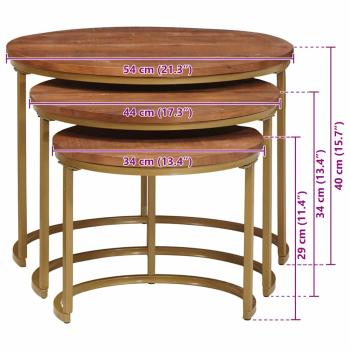 Nesting-Couchtische 3 pcs Honigbraun Massivholz Mango und Stahl
