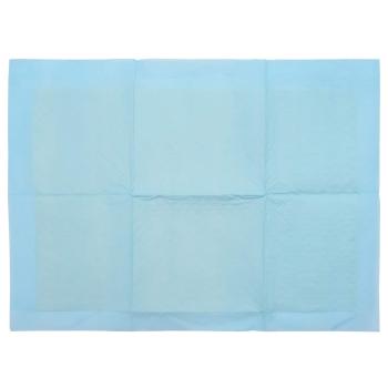 Vliesstoff Haustier Trainingspad 50 pcs Blau und Weiß