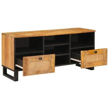 TV-Schränk mit Regal Braun 100 x 33,5 x 46 cm Massivholz Mango