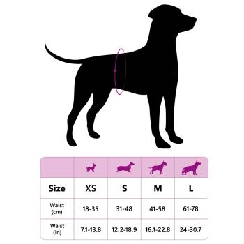 Einweg-Hundewindel für Rüden 30 pcs Weiß XL