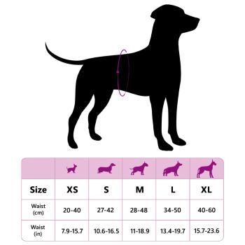 Wegwerf-Hundewindel für Hündinnen 30 pcs Weiß L