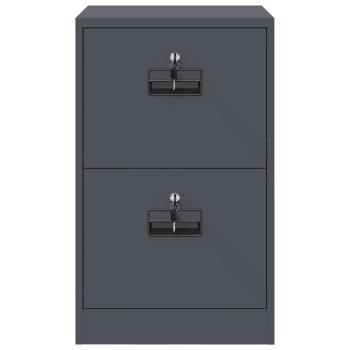 Aktenschrank Anthrazit 44 x 50 x 106,5 cm Kaltgewalzter Stahl