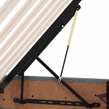 Aufbewahrungsbett mit Matratze Dunkelgrau 160 x 200 cm Stoff