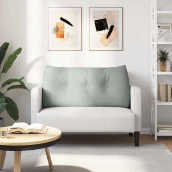 Rückenkissen Hellgrau 100 x 24 x 50 cm Samt