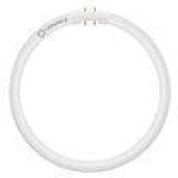 LEDVANCE LED T5 FC 22 EXTERNAL P 11.6W 840 2GX13, dimmbar, für EXTERNAL-Treiber (4099854300820)