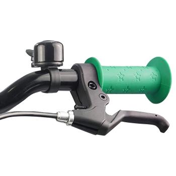 Kinderfahrrad 20 Zoll für 6-11 Jahre alt Grün