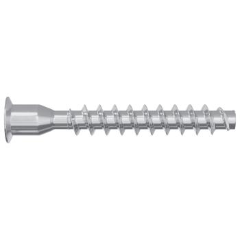 Confirmat-Schrauben 2500 pcs Silber Metall