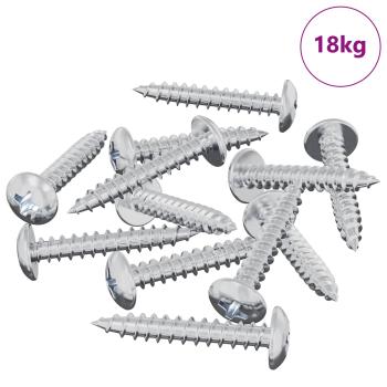 Selbstschneidender Nagel 9231 pcs Zink-beschichtet Stahl