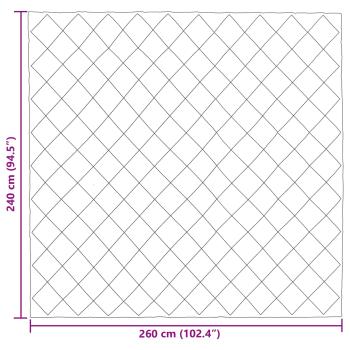 Ganzjahresbettdecke Schwarz und Taupe 240 x 260 cm Mikrofaser