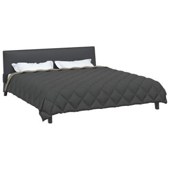 Winterbettdecke Hellgrau und Anthrazit 240 x 260 cm Mikrofaser