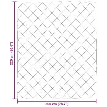 Sommerdecke Anthrazit und Taupe 220 x 200 cm Mikrofaser