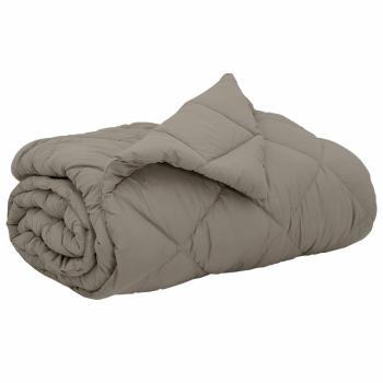 Ganzjahresbettdecke Hellgrau 240 x 200 cm Mikrofaser