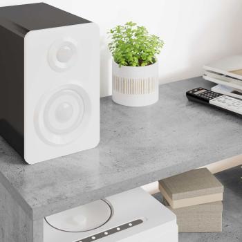 TV-Schränk Beton Grau 100 x 30 x 40 cm Holzwerkstoff