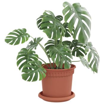 Runde Blumenplatte 24 pcs Ziegelrot Ø 14 x 2 cm Kunststoff