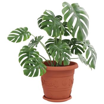 Runde Blumenplatte 24 pcs Ziegelrot Ø 14 x 2 cm Kunststoff